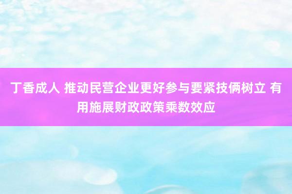 丁香成人 推动民营企业更好参与要紧技俩树立 有用施展财政政策乘数效应