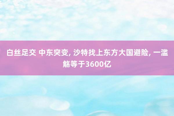 白丝足交 中东突变, 沙特找上东方大国避险, 一滥觞等于3600亿