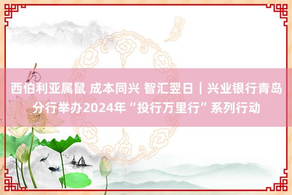 西伯利亚属鼠 成本同兴 智汇翌日｜兴业银行青岛分行举办2024年“投行万里行”系列行动