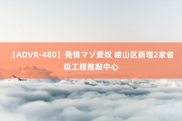 【ADVR-480】発情マゾ愛奴 崂山区新增2家省级工程推敲中心