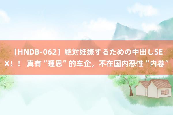 【HNDB-062】絶対妊娠するための中出しSEX！！ 真有“理思”的车企，不在国内恶性“内卷”