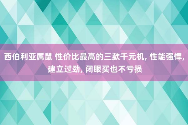 西伯利亚属鼠 性价比最高的三款千元机, 性能强悍, 建立过劲, 闭眼买也不亏损