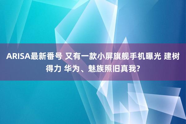 ARISA最新番号 又有一款小屏旗舰手机曝光 建树得力 华为、魅族照旧真我?