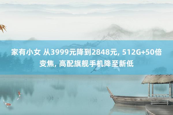 家有小女 从3999元降到2848元, 512G+50倍变焦, 高配旗舰手机降至新低