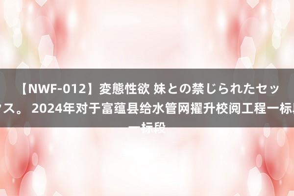 【NWF-012】変態性欲 妹との禁じられたセックス。 2024年对于富蕴县给水管网擢升校阅工程一标段