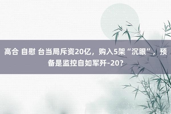 高合 自慰 台当局斥资20亿，购入5架“沉眼”，预备是监控自如军歼-20？