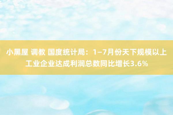 小黑屋 调教 国度统计局：1—7月份天下规模以上工业企业达成利润总数同比增长3.6%