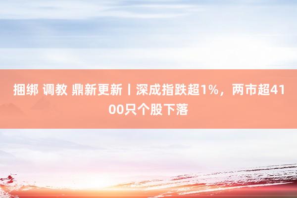 捆绑 调教 鼎新更新丨深成指跌超1%，两市超4100只个股下落