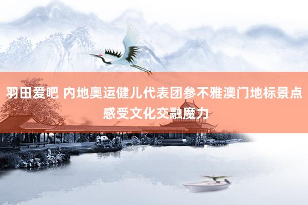 羽田爱吧 内地奥运健儿代表团参不雅澳门地标景点 感受文化交融魔力