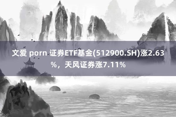 文爱 porn 证券ETF基金(512900.SH)涨2.63%，天风证券涨7.11%