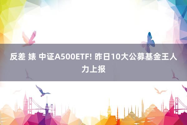 反差 婊 中证A500ETF! 昨日10大公募基金王人力上报