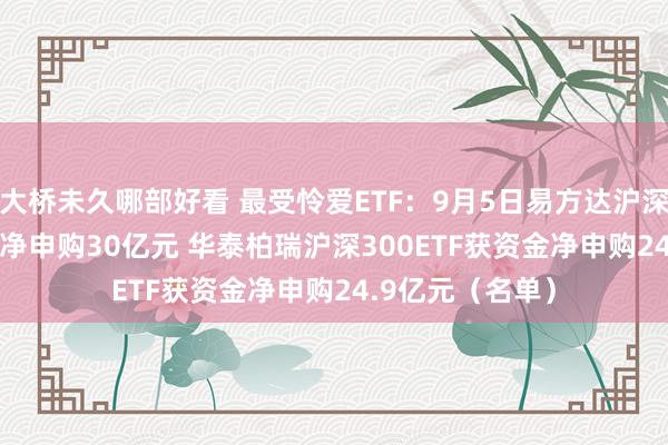 大桥未久哪部好看 最受怜爱ETF：9月5日易方达沪深300ETF获资金净申购30亿元 华泰柏瑞沪深300ETF获资金净申购24.9亿元（名单）