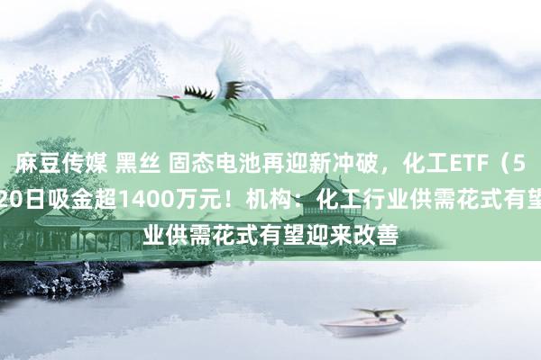 麻豆传媒 黑丝 固态电池再迎新冲破，化工ETF（516020）20日吸金超1400万元！机构：化工行业供需花式有望迎来改善