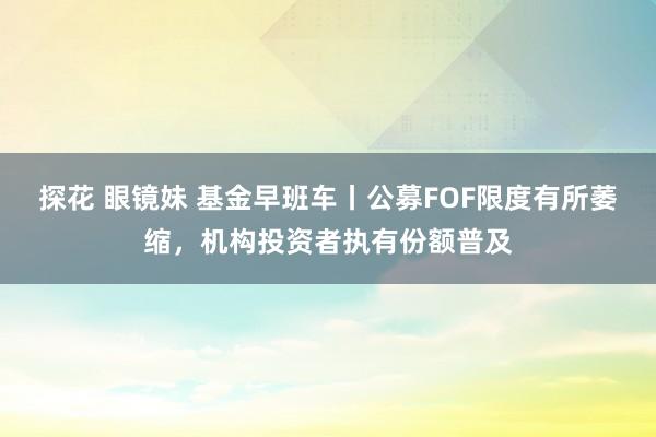 探花 眼镜妹 基金早班车丨公募FOF限度有所萎缩，机构投资者执有份额普及