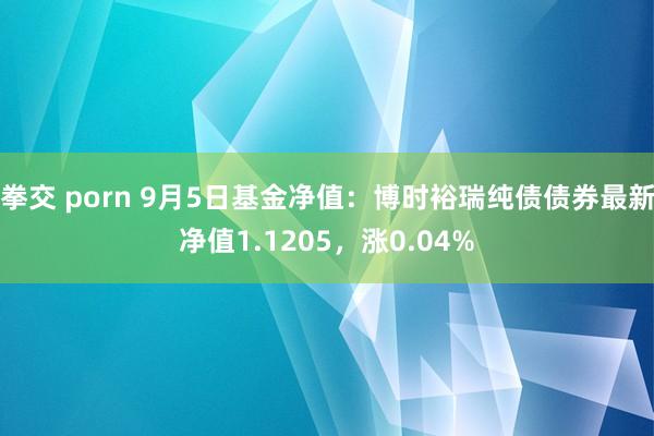 拳交 porn 9月5日基金净值：博时裕瑞纯债债券最新净值1.1205，涨0.04%