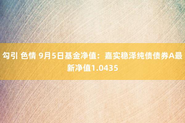 勾引 色情 9月5日基金净值：嘉实稳泽纯债债券A最新净值1.0435