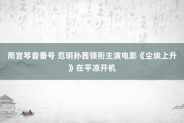 雨宫琴音番号 范明孙茜领衔主演电影《尘埃上升》在平凉开机