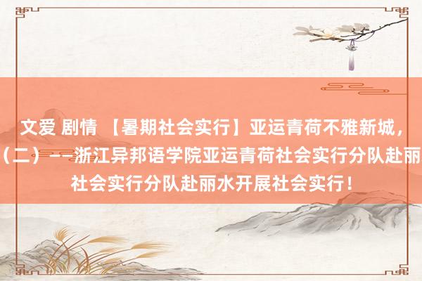 文爱 剧情 【暑期社会实行】亚运青荷不雅新城，芳华童心向将来（二）——浙江异邦语学院亚运青荷社会实行分队赴丽水开展社会实行！